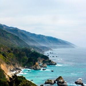 Meet your Posher, Joyce